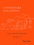 Connemara Gleanings by Pat Lyne
